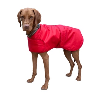 Waterproof Furlined All-Weather Dog Coat